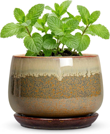 Ceramic Pots for Plants – 6 Inch Plant Pot Indoor with Drainage and Saucer