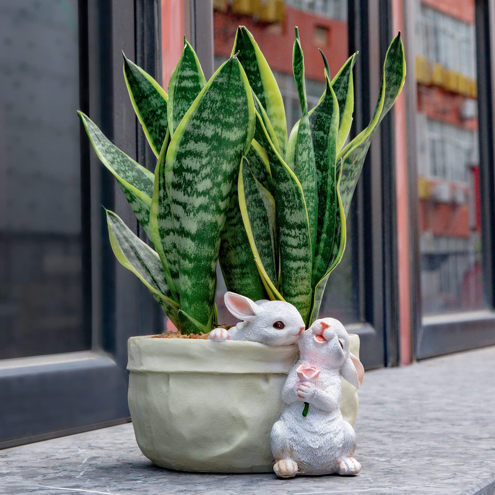 rabbit succulent planter Sweet Rabbit Planter