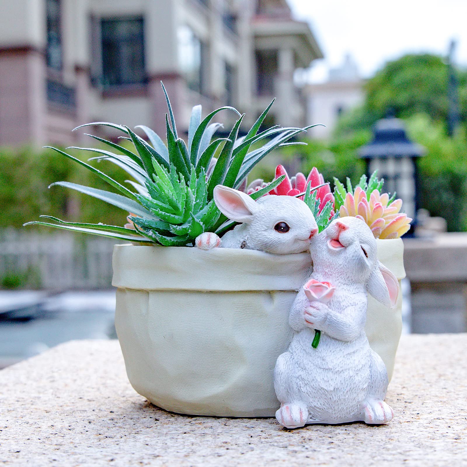 blue rabbit succulent Sweet Rabbit Planter