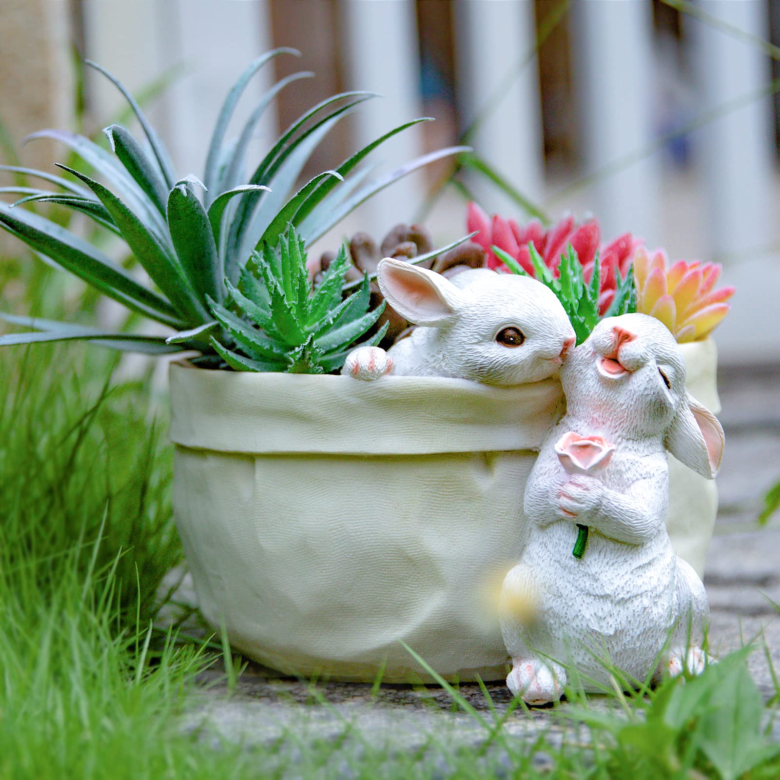 bunny succulent pot Sweet Rabbit Planter